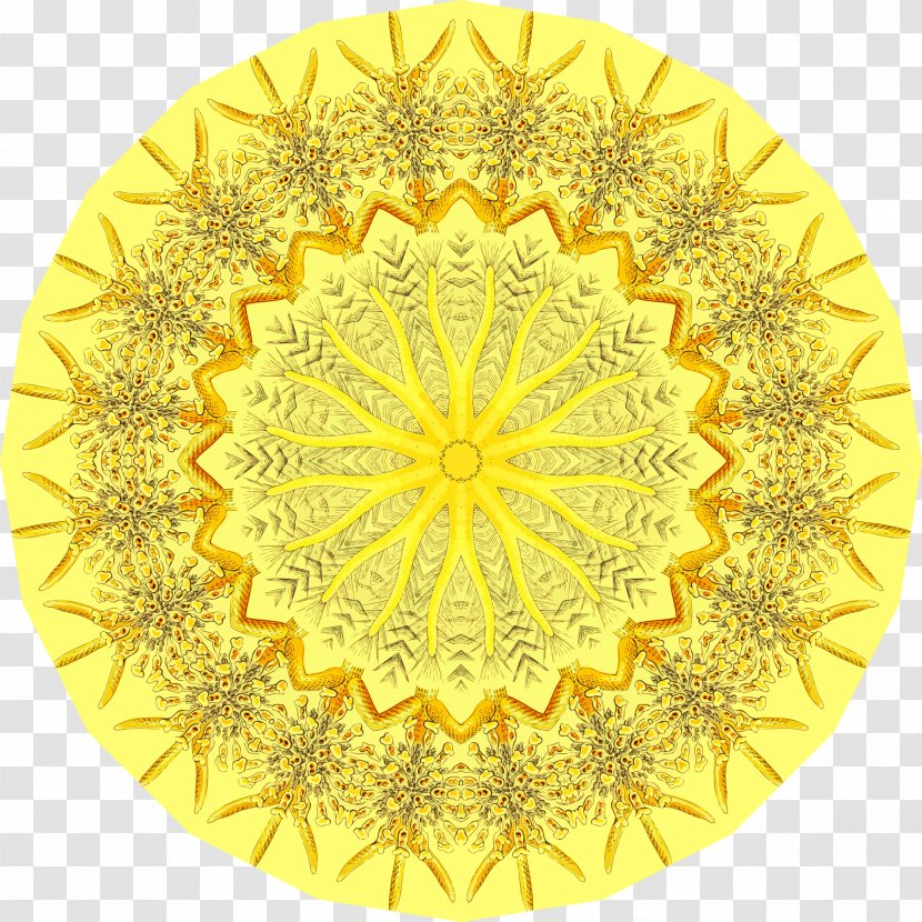 Greece Ornament Ancient Greek - Mandala Transparent PNG