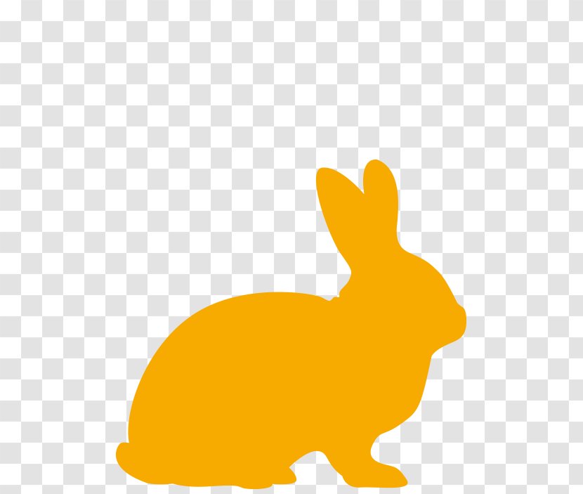 Domestic Rabbit Hare Haydon Veterinary Group Easter Bunny Rex Transparent PNG