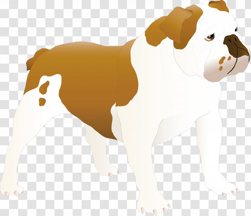 Veterinary Clinic Doctor Sotnikova Bulldog Puppy Cat Veterinarian - Pet - Dog Transparent PNG