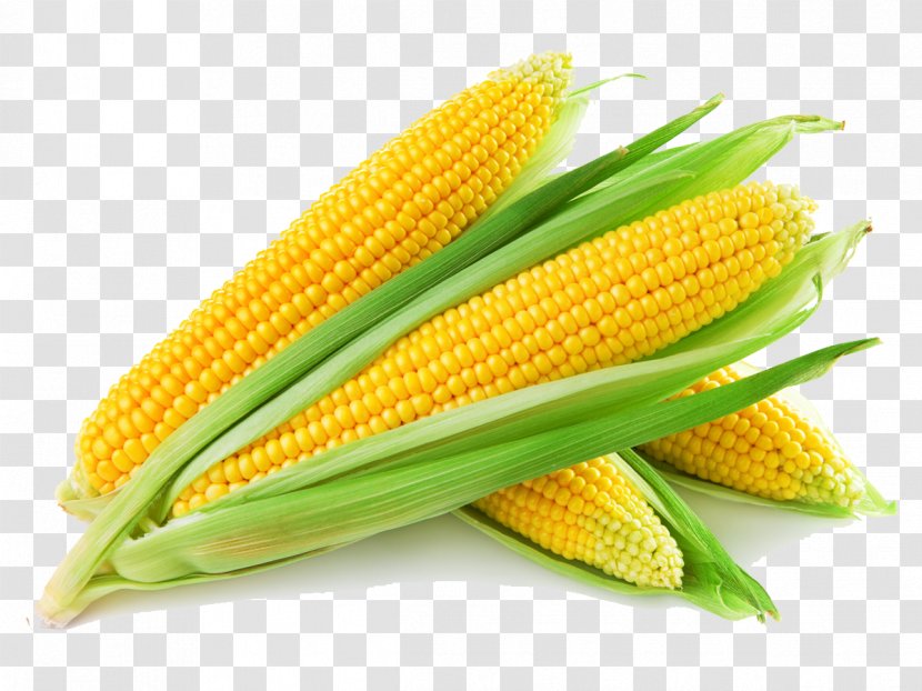 Corn On The Cob Maize Sweet Fruit Vegetable - Food Transparent PNG
