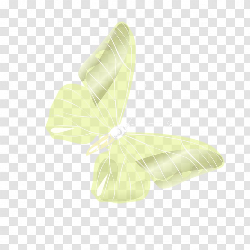 Butterfly Angle Pattern - Invertebrate - Purple Transparent PNG