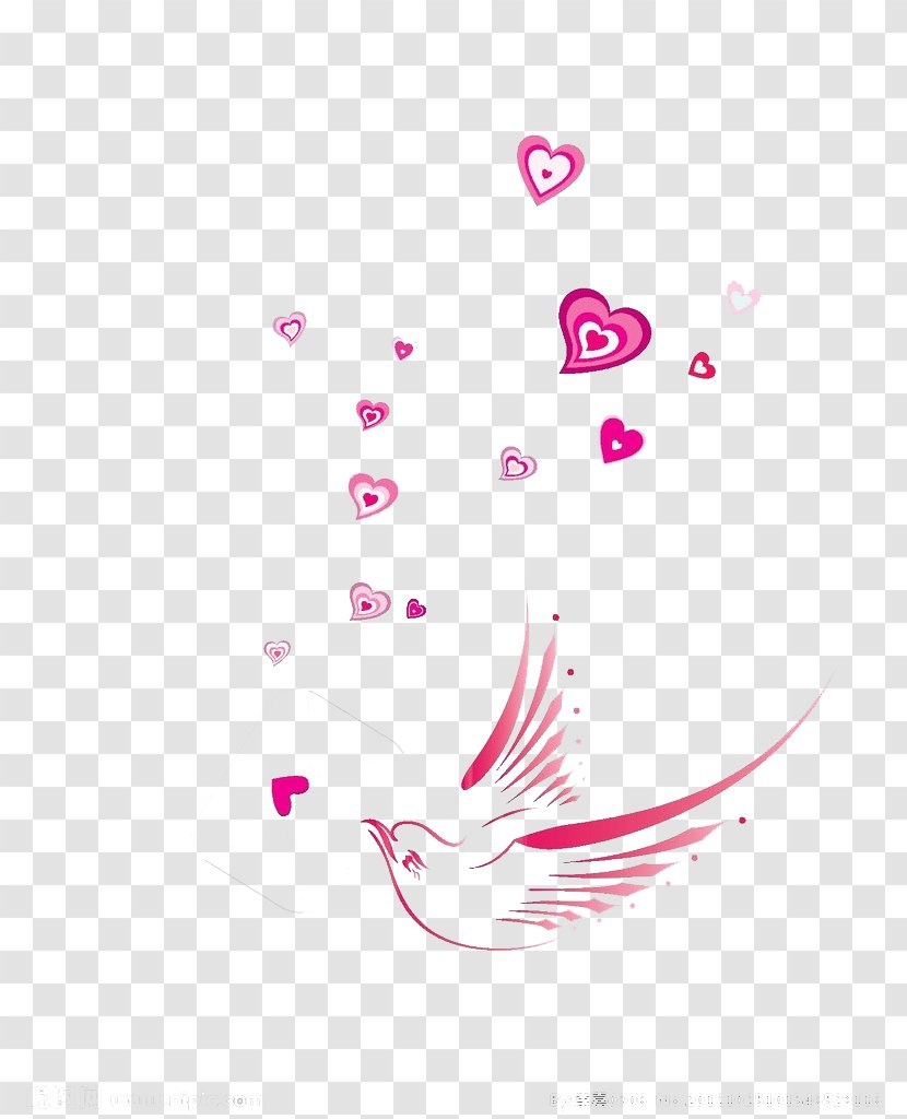 Homing Pigeon Bird Heart - Text - Love Birds Floating Material Transparent PNG
