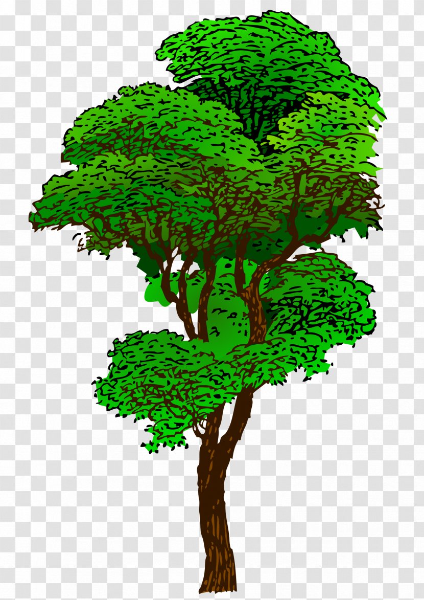 Tree Drawing Clip Art - Grass - Love Transparent PNG