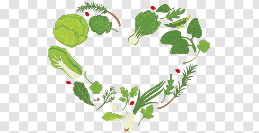 Green Leaf Background - Salad - Holly Flower Transparent PNG