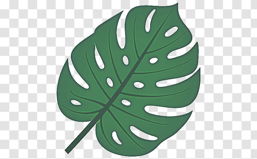 Leaf Monstera Deliciosa Green Plant Clip Art - Arum Family Alismatales Transparent PNG