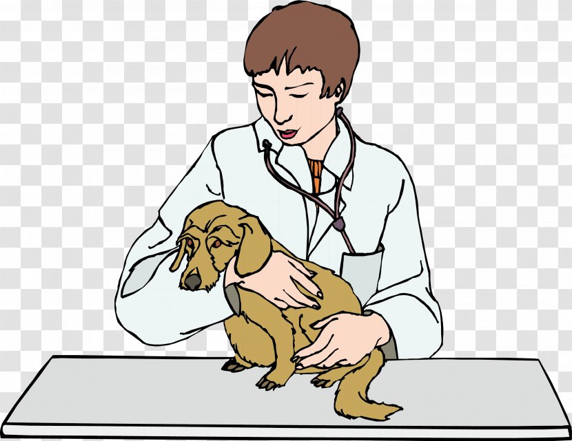 Paws And Claws: Pet Vet Dog Puppy Veterinarian - Watercolor - Doctor Transparent PNG