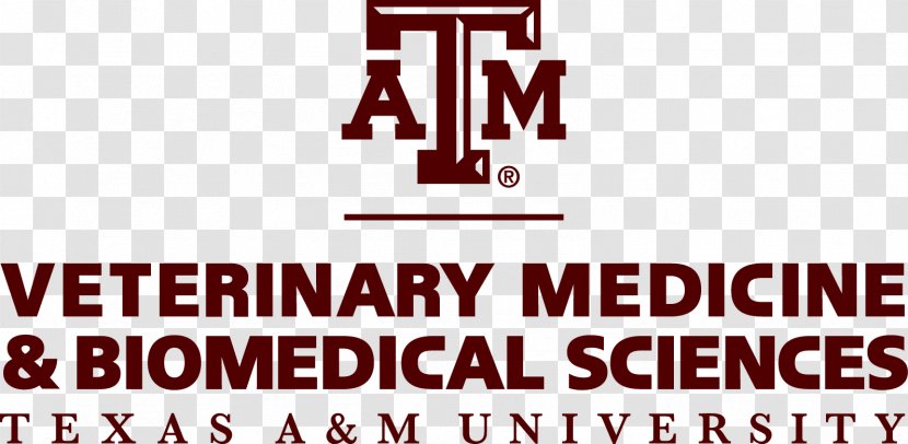 Texas A&M College Of Veterinary Medicine & Biomedical Sciences Veterinarian University Education Transparent PNG