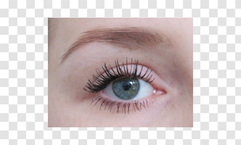 Eyelash Extensions Eye Liner Shadow Mascara Lip - Eyebrow - Volume Booster Transparent PNG