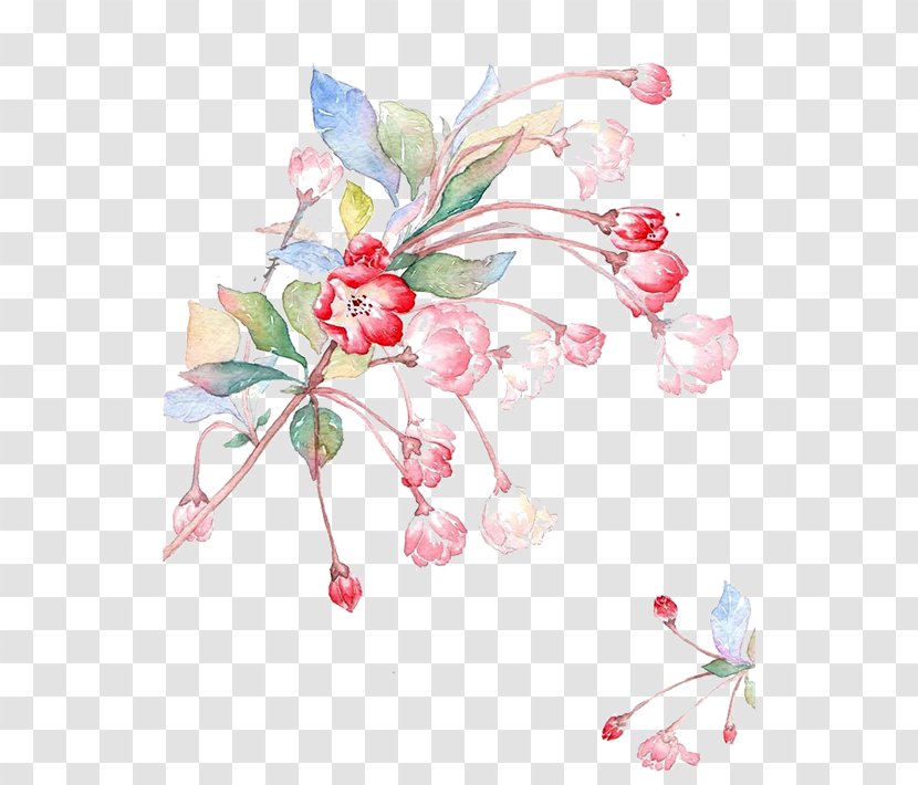 Malus Halliana Spectabilis Illustration - Cherry Blossom - Red Flowers Transparent PNG