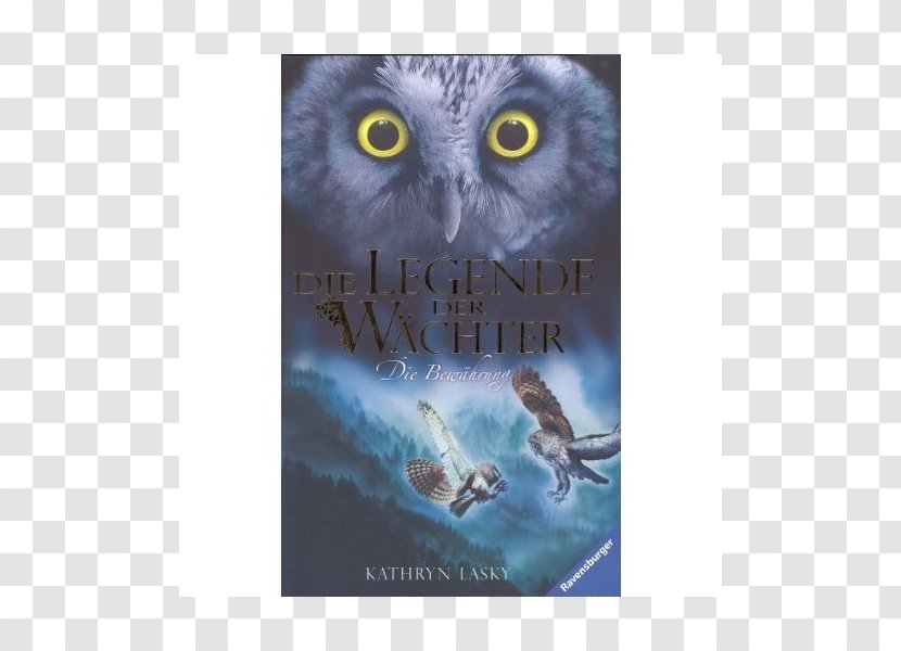 Owl Guardians Of Ga'Hoole: The Capture Journey Shattering - Fantasy Fiction Transparent PNG