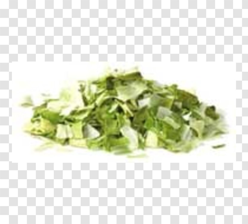 Herb Spice Wholesale Vegetable Garlic - Leek Transparent PNG