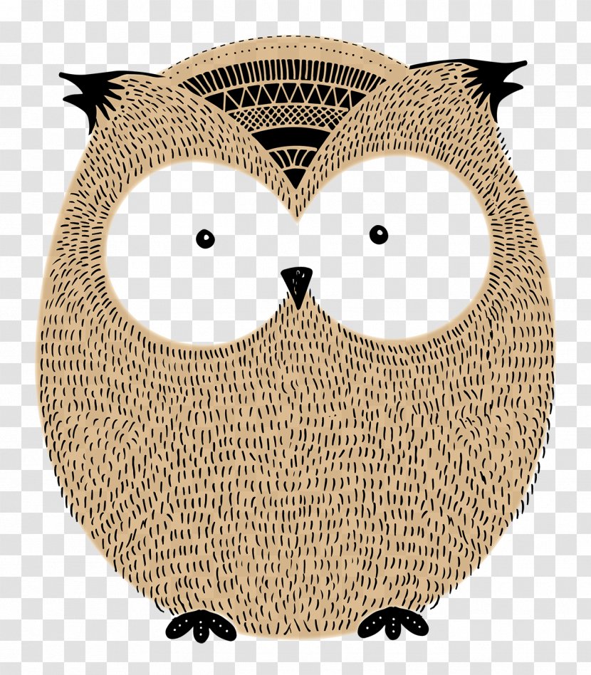 Owl Drawing Art Painting Illustration - Beak Transparent PNG