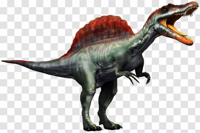 Spinosaurus Giganotosaurus Baryonyx Carnivores 2 Dinosaur - Terrestrial Animal Transparent PNG