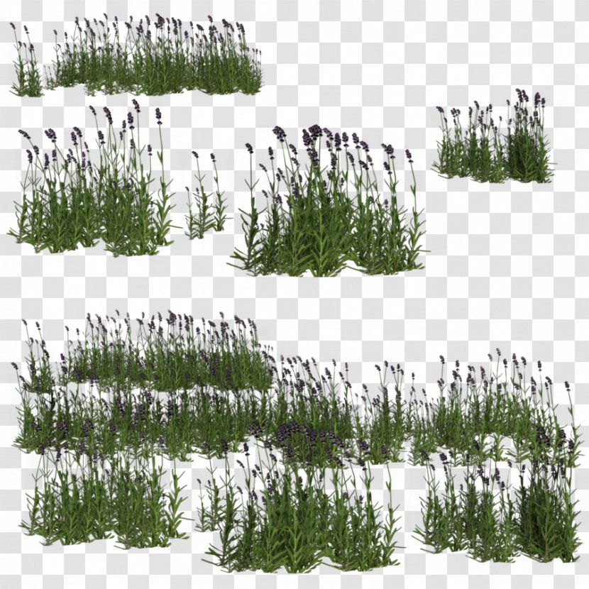 Aquatic Plants M Bubble - Tree - Lavender Transparent PNG