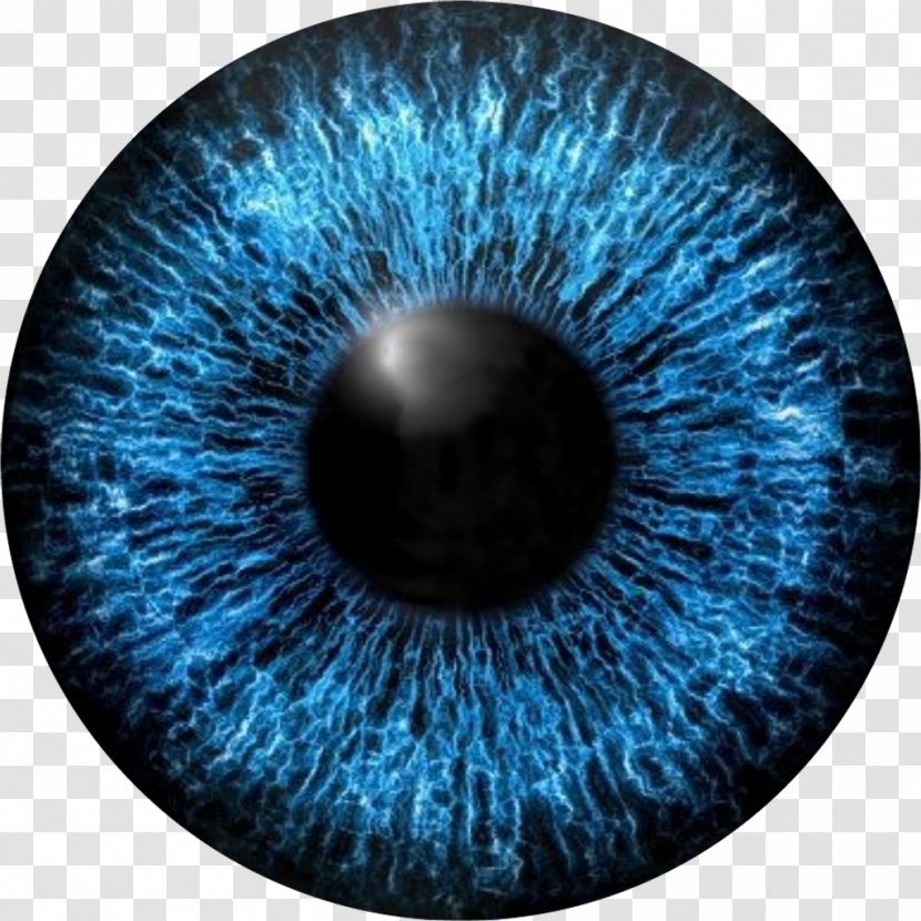 Iris Vector Graphics Pupil Human Eye - Heart Transparent PNG