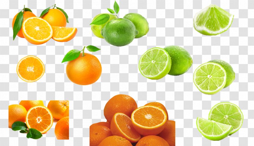 Clementine Lemon Mandarin Orange Lime - Vector Fruit Transparent PNG