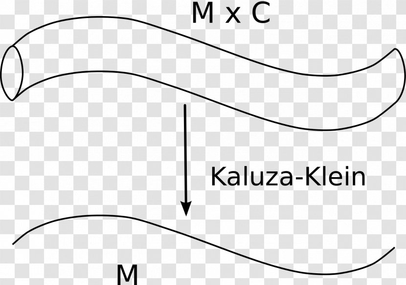 Kaluza–Klein Theory String Five-dimensional Space - Flower - Scalar And Vector Transparent PNG