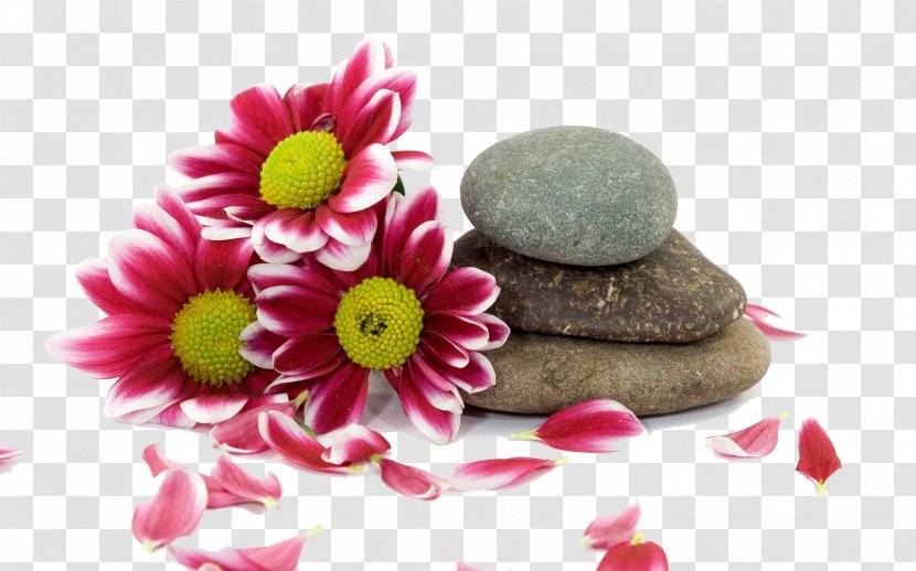 Stone Massage Spa - Exfoliation Transparent PNG