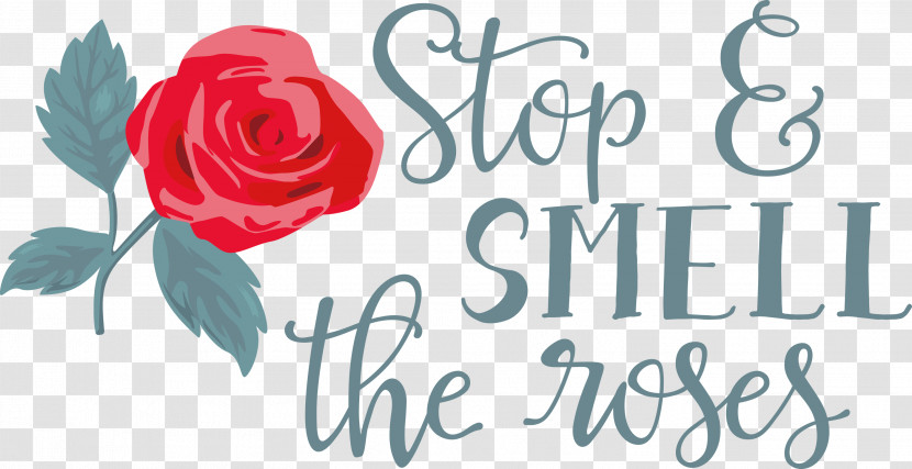 Rose Stop And Smell The Roses Transparent PNG