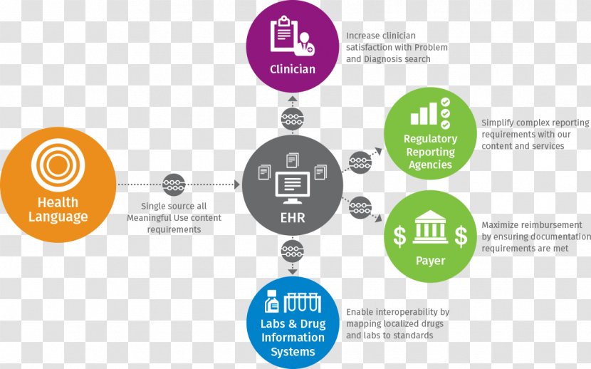 Infographic Information Diagram Single Source Of Truth Organization - Data - Health Transparent PNG