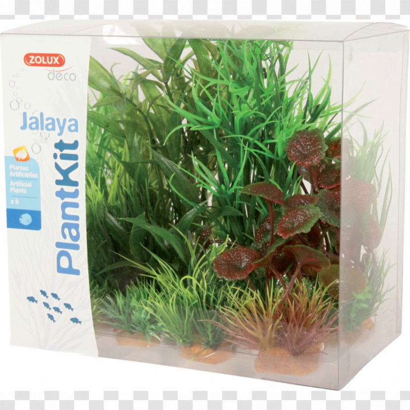 Aquatic Plants Aquarium Decor Base En Résine - Flowerpot Transparent PNG