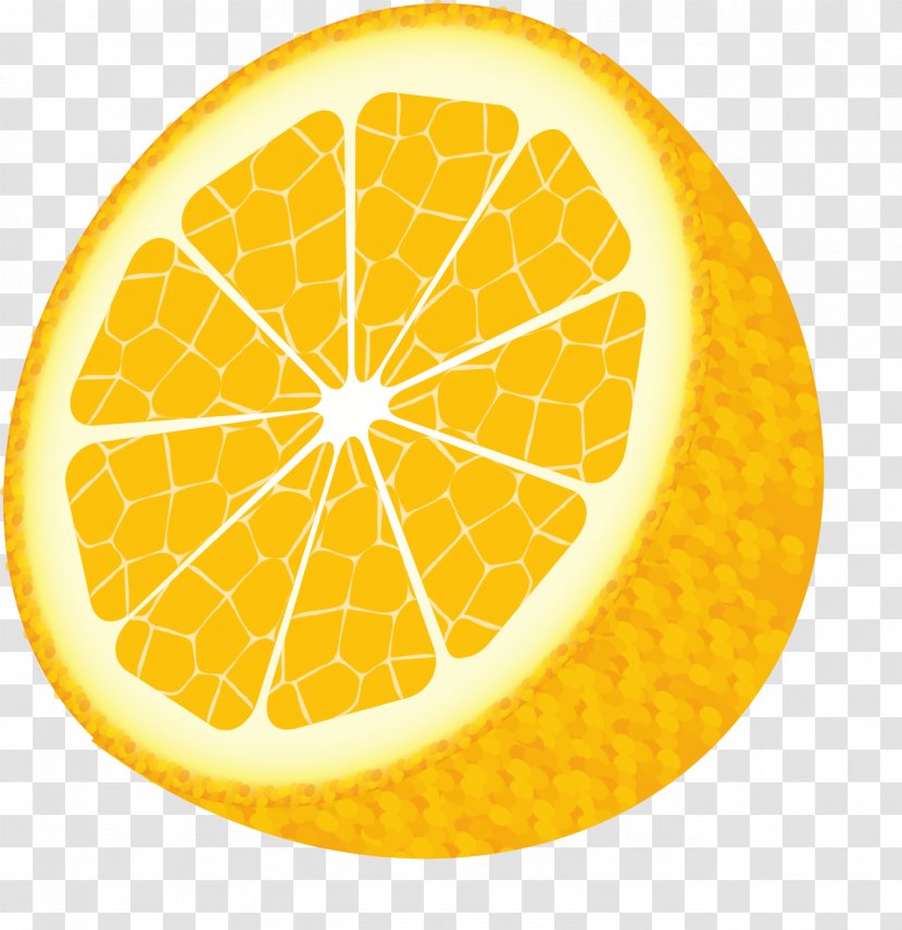 Lemon Drawing - Citric Acid - Vector Transparent PNG