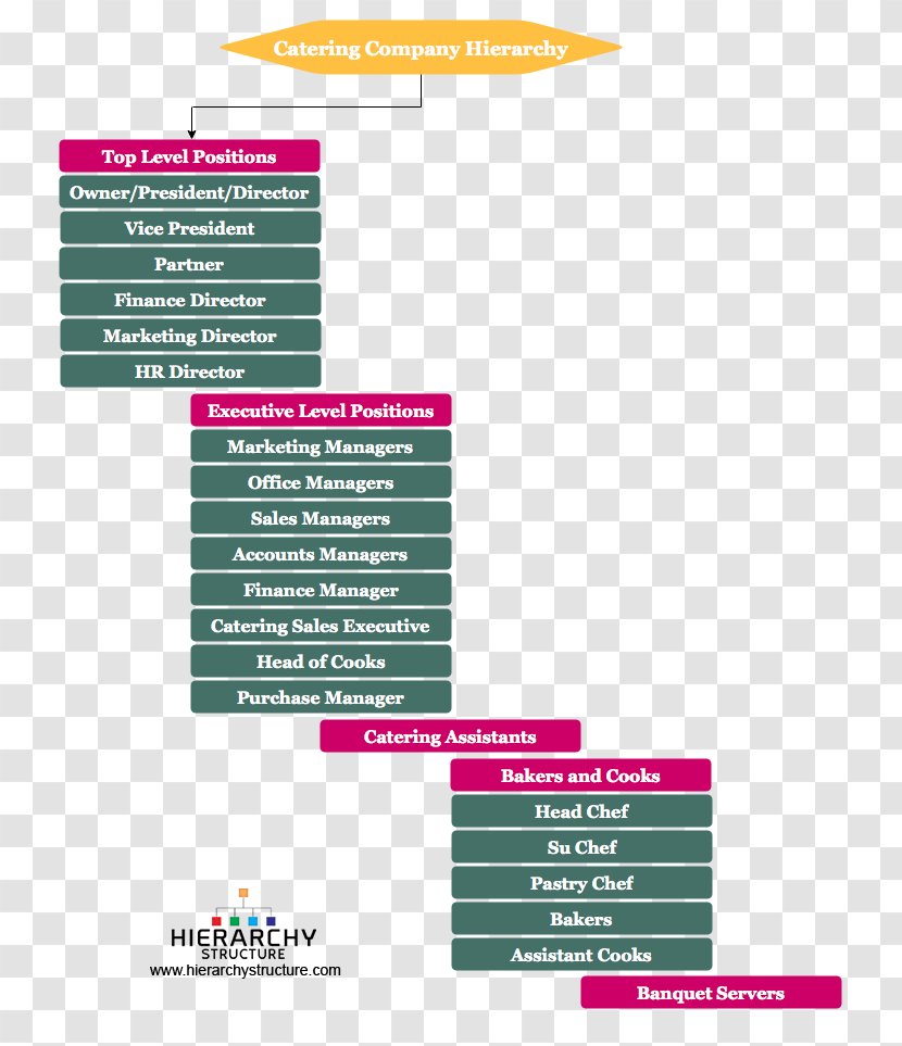 Hierarchical Organization Business Catering Hierarchy Senior Management - Corporate Title Transparent PNG