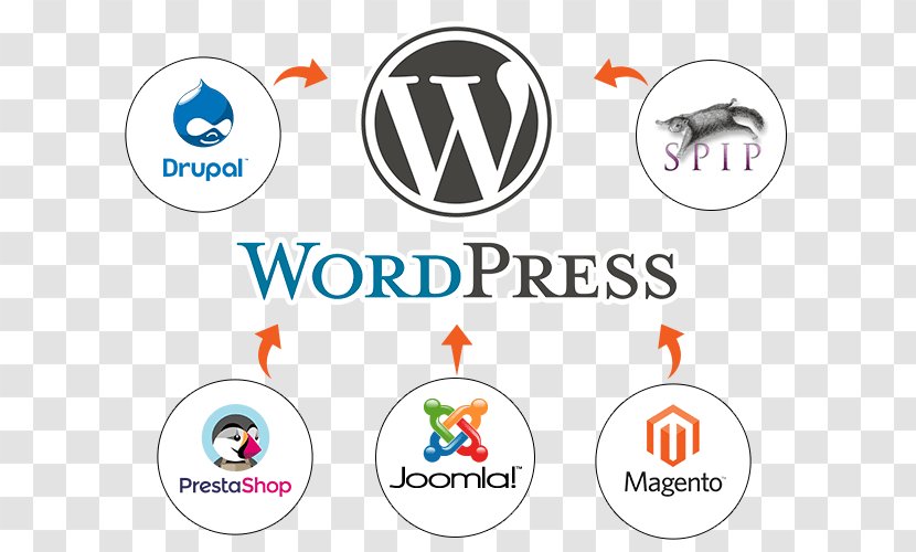 Wordpress: The Complete Beginners Guide To Mastery Blog Plug-in Content Management System - Brand - Cms Transparent PNG