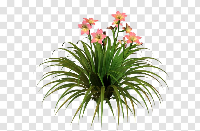 Centerblog Cut Flowers Floristry Flowerpot - Daylilies Transparent PNG