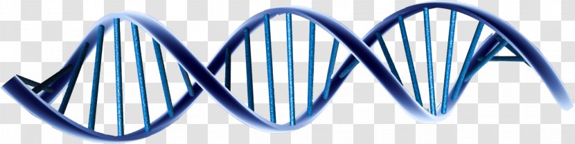 The Scots: A Genetic Journey Saxons, Vikings, And Celts Genetics Amazon.com DNA - Logo - Double Helix Transparent PNG