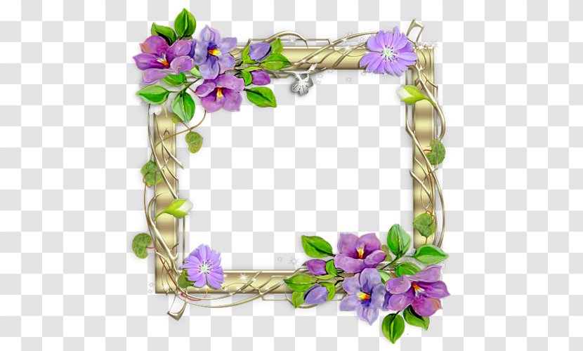 Picture Frames Molding Desktop Wallpaper - Purple - Flowering Plant Transparent PNG