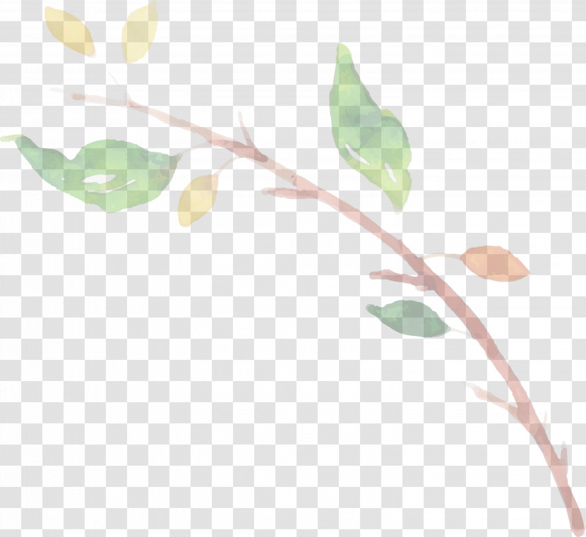 Plant Stem Leaf Twig Plants Biology Transparent PNG