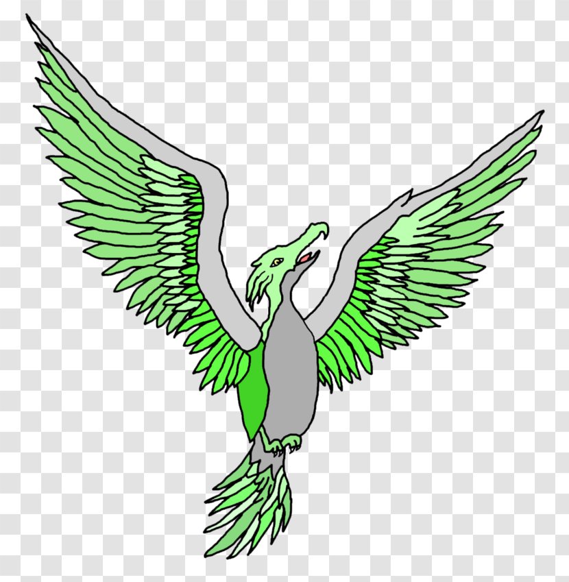 Color Scheme Theory Eagle Phoenix - Feather - Sketch Transparent PNG