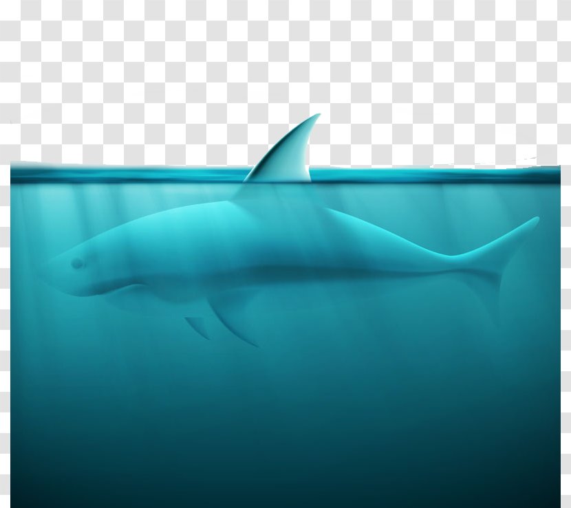Great White Shark Spinner Dolphin Squaliformes Tiger - Ocean Design Vector Material Transparent PNG