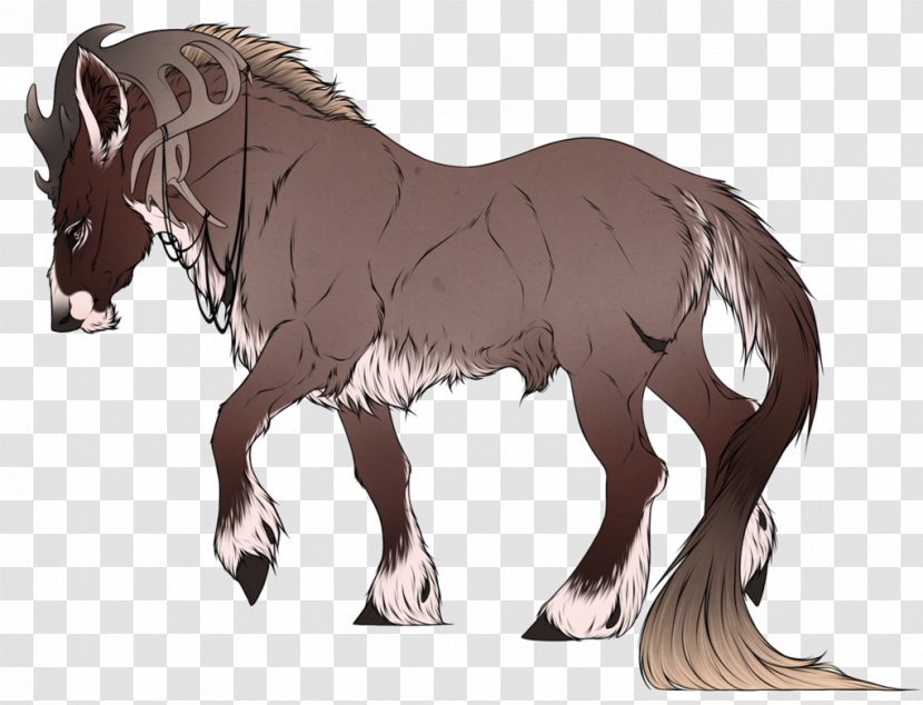 Mule Mustang Foal Colt Stallion Transparent PNG