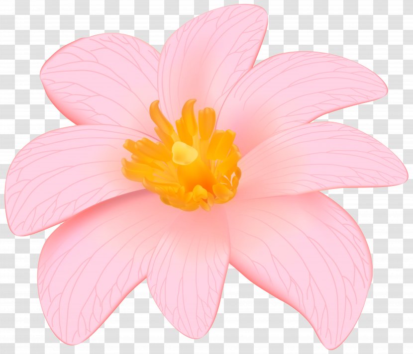 Petal Pink Rose Rosaceae Herbaceous Plant - Barrette - Exotic Flower Clip Art Image Transparent PNG