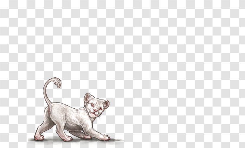 Kitten Dog Cat Whiskers Felidae Transparent PNG