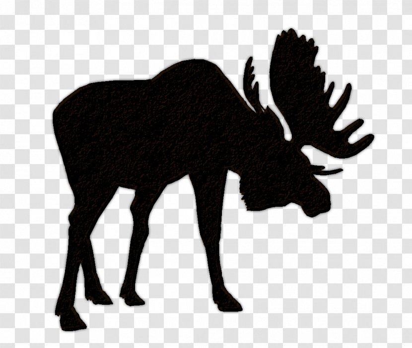 Moose Elk Hunting Bear Clip Art - Gift - Llama Head Cliparts Transparent PNG