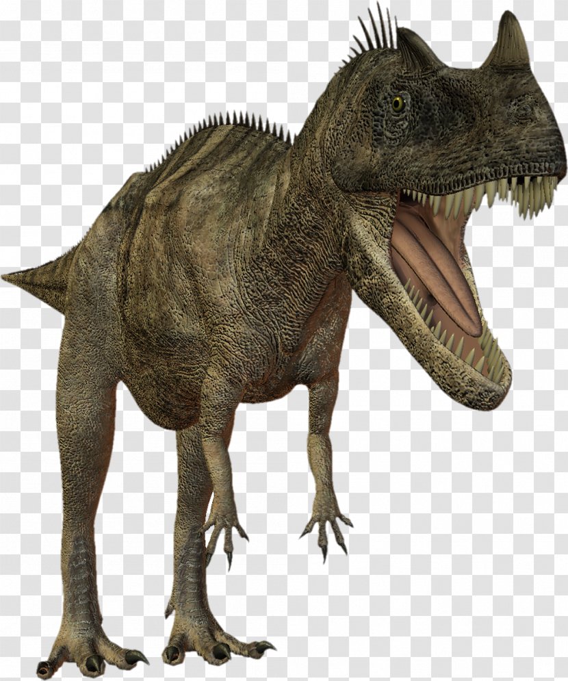 Tyrannosaurus Dinosaurs & Prehistoric Animals Mesozoic - Terrestrial Animal - Dinosaur Transparent PNG
