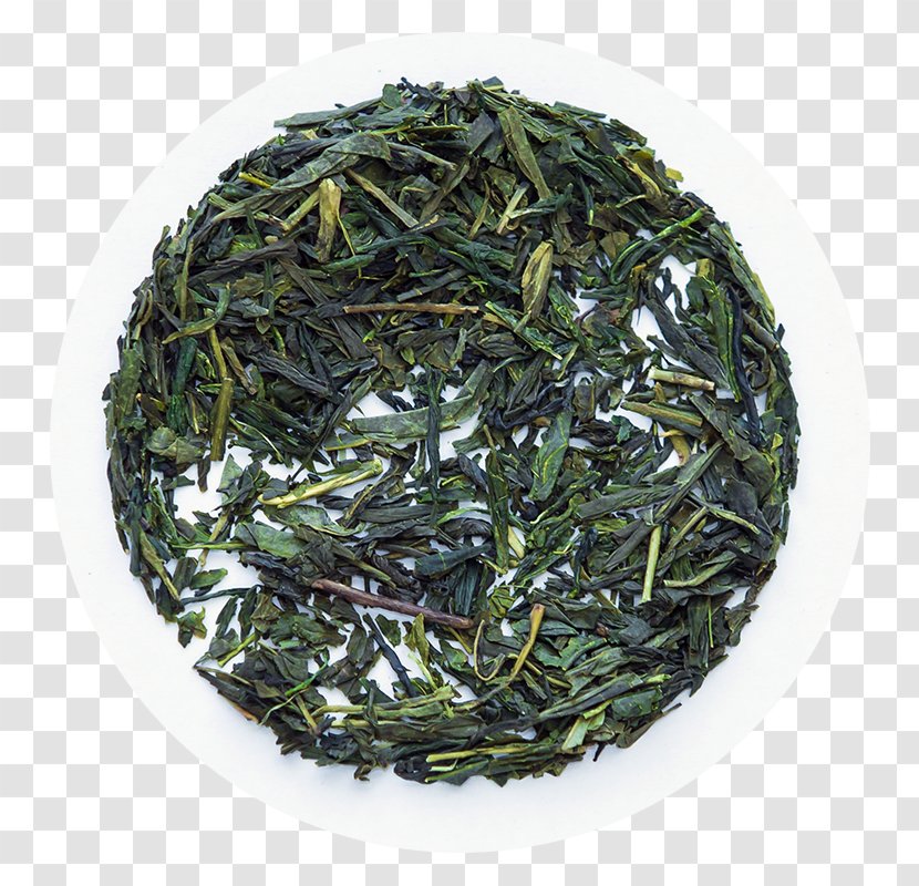 Gyokuro Nilgiri Tea Oolong Earl Grey - Shincha Transparent PNG