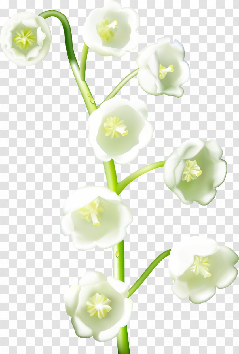Flower Download Realism - Petal - Handpainted Flowers Transparent PNG