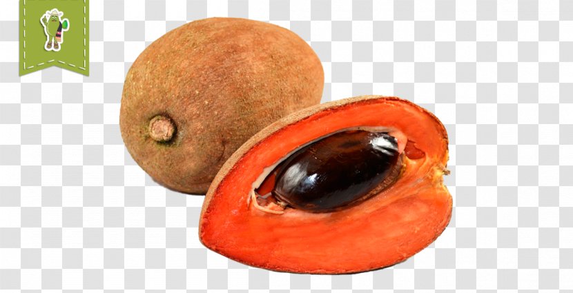 Mamey Sapote Mammea Americana Food Fruit - Passion - Eating Transparent PNG
