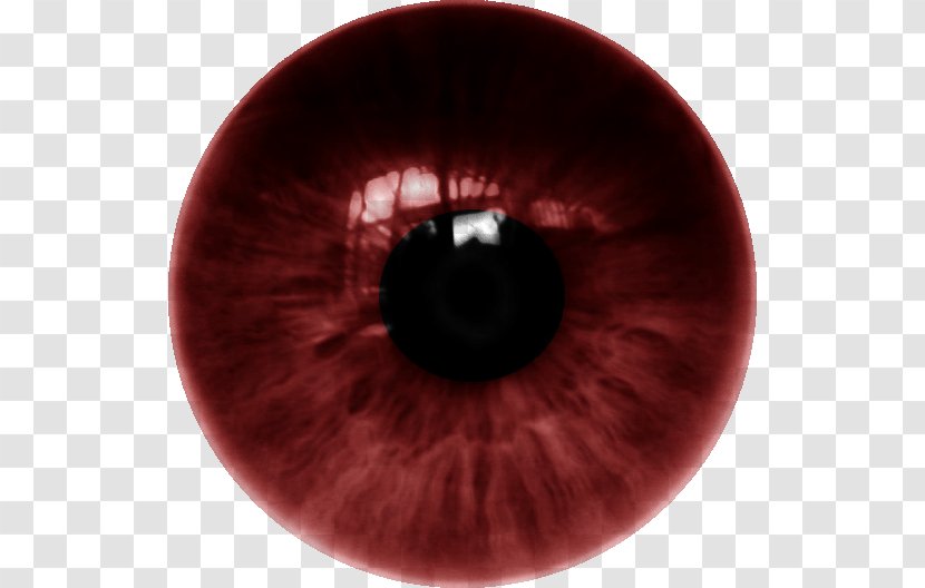 Human Eye Iris Lens Color - Frame - Dente Transparent PNG