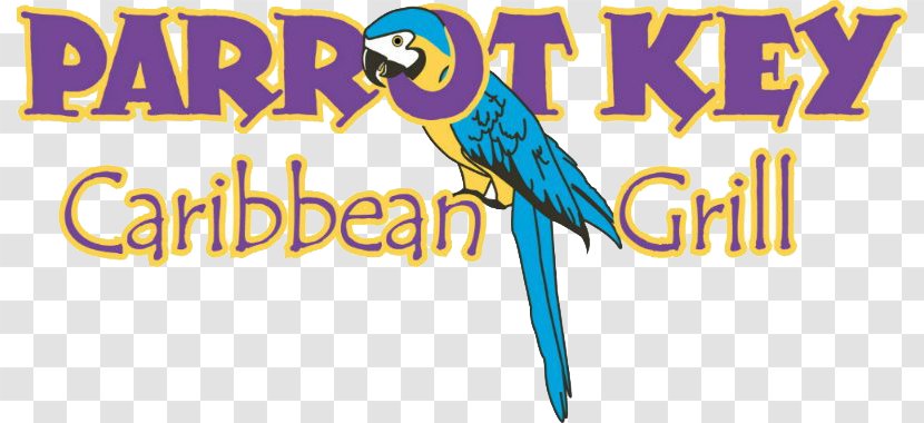 Parrot Key Caribbean Grill Fort Myers Beach Macaw Logo - Ice Frozen Beverage Transparent PNG