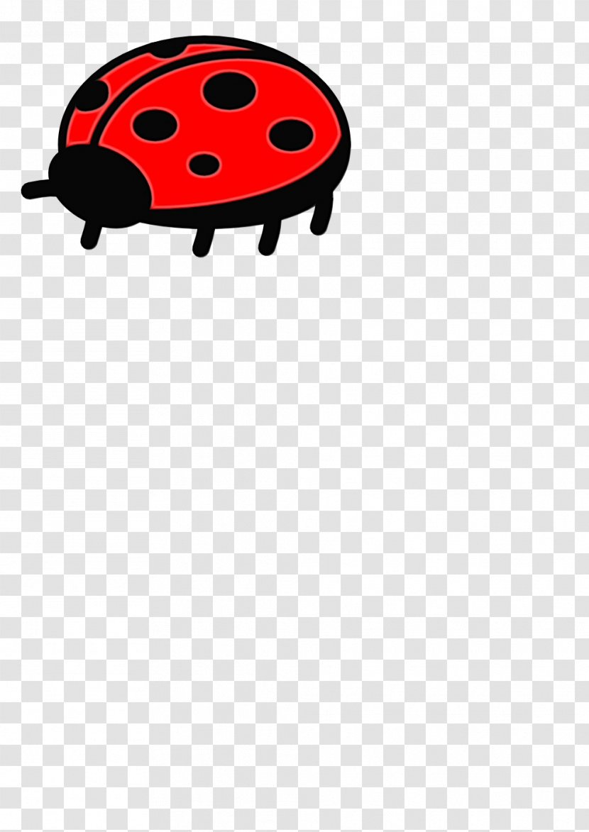 Ladybird - Insect - Ladybug Red Transparent PNG
