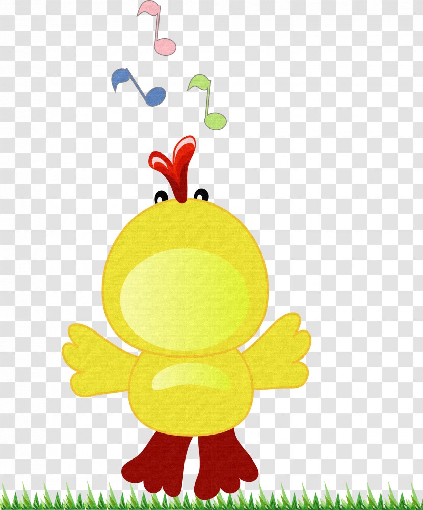 Chicken Kifaranga Rooster - Beak - Singing Birds Transparent PNG