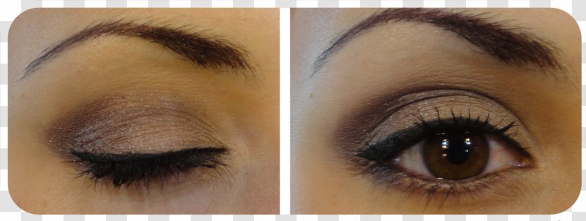 Eyelash Extensions Eye Liner Shadow Lip - Silhouette - Smoky Makeup Transparent PNG