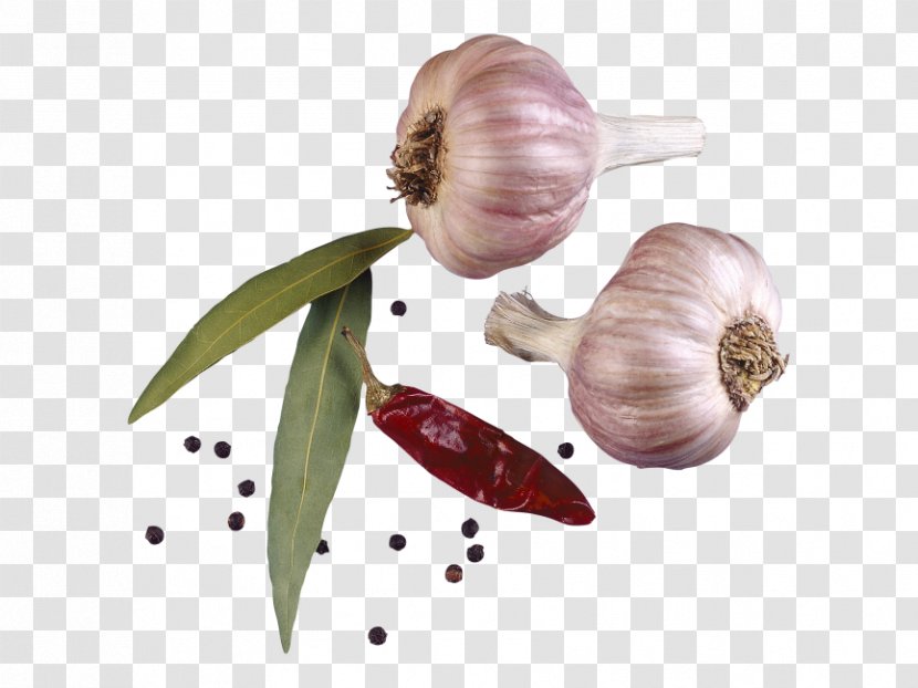 Condiment Garlic Spice Seasoning Transparent PNG