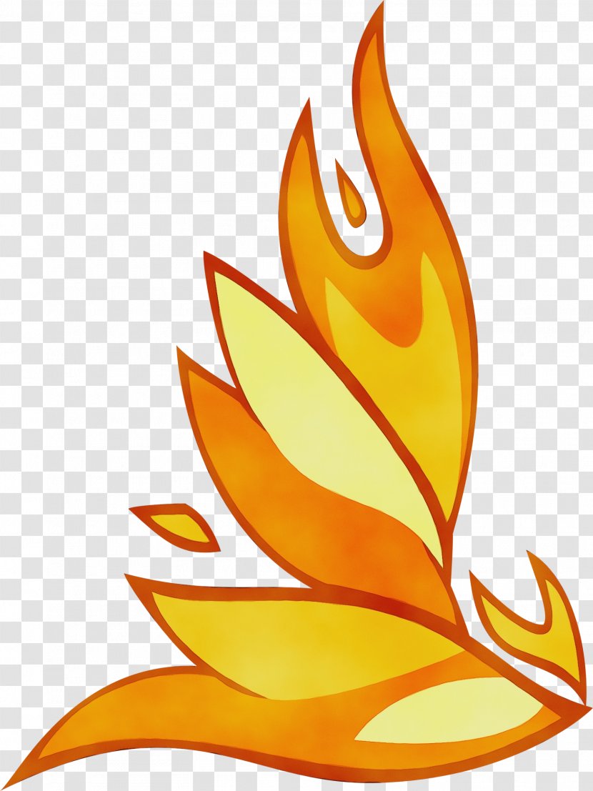 Orange - Flame - Plant Transparent PNG
