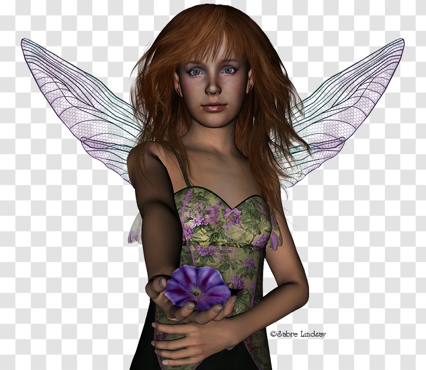 Fairy Long Hair - Brown Transparent PNG